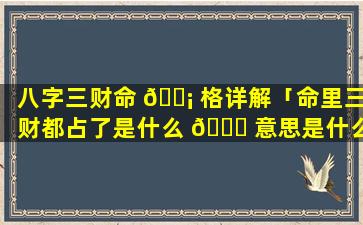 八字三财命 🐡 格详解「命里三财都占了是什么 🐒 意思是什么」